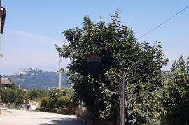 Istra, Motovun prekrasna autohtona samostojeća kuća, Motovun, Haus