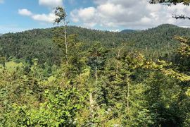 Gorski kotar, Fužine - Šumsko zemljište s prekrasnim pogledom i pristupnim putom, 5399 m2, Fužine, Terreno