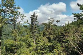 Gorski kotar, Fužine - Šumsko zemljište s prekrasnim pogledom i pristupnim putom, 5399 m2, Fužine, Terrain