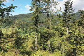 Gorski kotar, Fužine - Šumsko zemljište s prekrasnim pogledom i pristupnim putom, 5399 m2, Fužine, Terrain