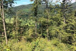 Gorski kotar, Fužine - Šumsko zemljište s prekrasnim pogledom i pristupnim putom, 5399 m2, Fužine, Terreno