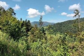 Gorski kotar, Fužine - Šumsko zemljište s prekrasnim pogledom i pristupnim putom, 5399 m2, Fužine, Terreno