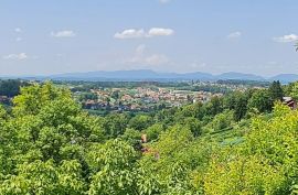 Stubičke Toplice, Kapelščak, kuća prizemnica + okućnica od 2600m2, Stubičke Toplice, Σπίτι