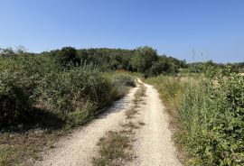 Istra, Poreč, okolica - građevinsko zemljište na rubu manjeg naselja, Sveti Lovreč, Земля