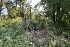 Istra, Poreč, okolica - građevinsko zemljište na rubu manjeg naselja, Sveti Lovreč, Terrain