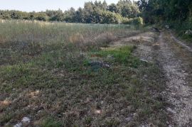 Istra, Žminj građevinski teren za investiciju, Žminj, Land