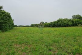 Istra, Bale - poljoprivredno zemljište 8400 m2, Bale, Land