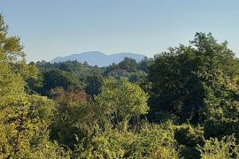 GRAČIŠĆE, okolica - stara kamena kuća sa 6880 m2 dvorišta, Gračišće, Kuća