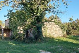 GRAČIŠĆE, okolica - stara kamena kuća sa 6880 m2 dvorišta, Gračišće, Ev