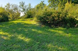 GRAČIŠĆE, okolica - stara kamena kuća sa 6880 m2 dvorišta, Gračišće, House