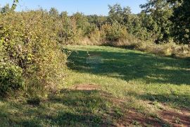 GRAČIŠĆE, okolica - stara kamena kuća sa 6880 m2 dvorišta, Gračišće, Дом