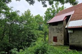 Gorski kotar - Ravna Gora - kuća, Ravna Gora, Σπίτι