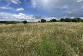 Istra, Poreč - okolica - građevinsko zemljište u poslovnoj zoni, Višnjan, Arazi