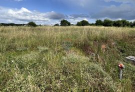 Istra, Poreč - okolica - građevinsko zemljište u poslovnoj zoni, Višnjan, Land