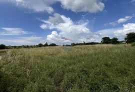 Istra, Poreč - okolica - građevinsko zemljište u poslovnoj zoni, Višnjan, Terrain