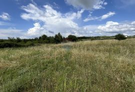 Istra, Poreč - okolica - građevinsko zemljište u poslovnoj zoni, Višnjan, Terrain