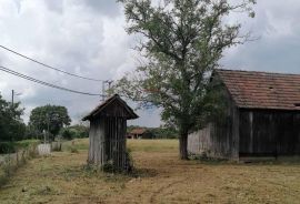 Križ, Gornji Prnjakovec, kuća za adaptaciju sa okućnicom od 4000m2, Križ, Haus