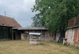 Križ, Gornji Prnjakovec, kuća za adaptaciju sa okućnicom od 4000m2, Križ, Σπίτι