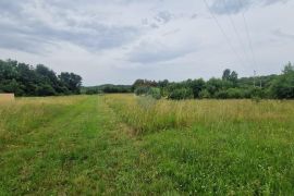 Istra, Gradina, veliko zemljište sa zahtjevom za urbanizaciju., Sveti Lovreč, Land