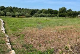 Poreč okolica, građevinski teren, Poreč, Terrain