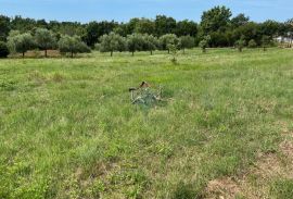 Poreč okolica, građevinski teren, Poreč, Land