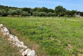 Poreč okolica, građevinski teren, Poreč, Tierra