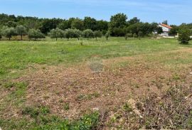 Poreč okolica, građevinski teren, Poreč, Land