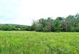 Istra,Pazin-Građevinsko zemljište mješovite namjene, Pazin, Terrain