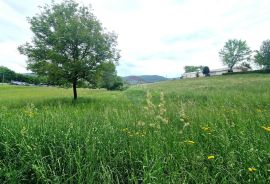 Istra,Pazin-Građevinsko zemljište mješovite namjene, Pazin, Terrain