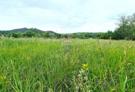 Istra,Pazin-Građevinsko zemljište mješovite namjene, Pazin, Земля