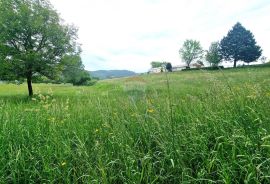 Istra,Pazin-Građevinsko zemljište mješovite namjene, Pazin, Tierra