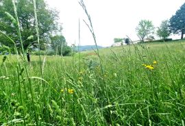 Istra,Pazin-Građevinsko zemljište mješovite namjene, Pazin, Arazi