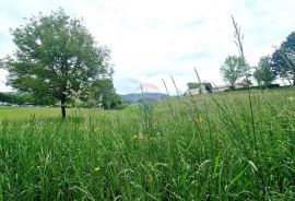 Istra,Pazin-Građevinsko zemljište mješovite namjene, Pazin, Zemljište