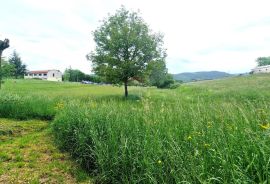 Istra,Pazin-Građevinsko zemljište mješovite namjene, Pazin, Land