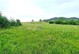 Istra,Pazin-Građevinsko zemljište mješovite namjene, Pazin, Arazi