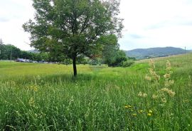 Istra,Pazin-Građevinsko zemljište mješovite namjene, Pazin, Land