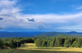 Gorski kotar, Delnice - jedinstvena nekretnina u RH, Planinski centar Petehovac, Delnice, العقارات التجارية