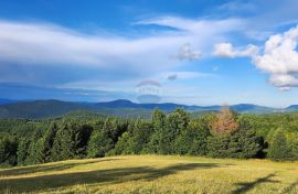 Gorski kotar, Delnice - jedinstvena nekretnina u RH, Planinski centar Petehovac, Delnice, العقارات التجارية