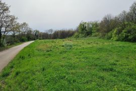 Istra, Žminj okolica - građevinsko-poljoprivredno zemljište 8.825 m2, Žminj, Land