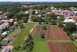 ISTRA, SV. LOVREČ - Građ. zemljište 1313 m2 s projektom, Sveti Lovreč, Tierra