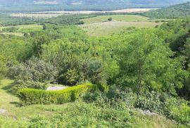 Istra, Motovun useljiva starina, Motovun, Maison