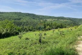 Istra, Motovun idiličan građevinsko poljoprivredni teren, Motovun, Land