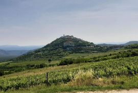 Istra, Motovun idiličan građevinsko poljoprivredni teren, Motovun, Γη