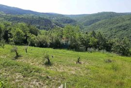 Istra, Motovun idiličan građevinsko poljoprivredni teren, Motovun, Land