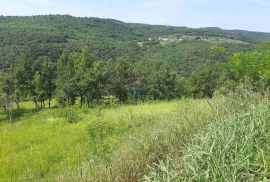 Istra, Motovun idiličan građevinsko poljoprivredni teren, Motovun, Land