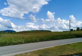 Karlovačka županija , Josipdol - kuća sa poslovnim prostorom, Josipdol, Дом