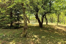 Gorski kotar, Lič - Građevinsko zemljište s ruševinom, 2600 m2, Fužine, Terrain