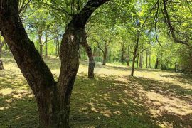 Gorski kotar, Lič - Građevinsko zemljište s ruševinom, 2600 m2, Fužine, أرض