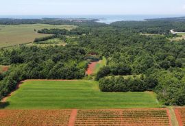 ISTRA, POREČ - Zemljište Ugostiteljsko-turističke namjene 6420 m2, Tar-Vabriga, Terreno