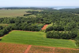 ISTRA, POREČ - Zemljište Ugostiteljsko-turističke namjene 6420 m2, Tar-Vabriga, Terreno